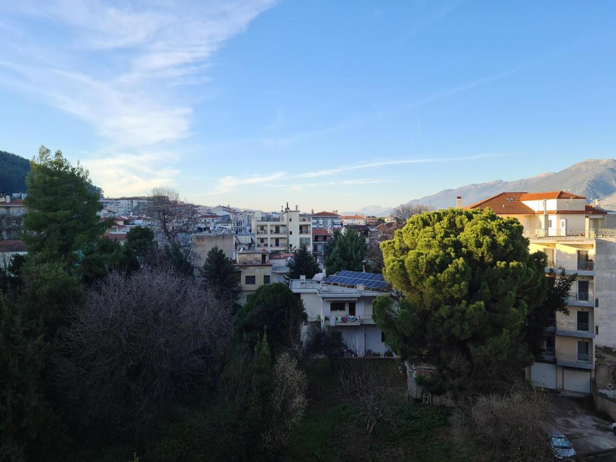 Comfy Urban Apartment Ιωάννινα Εξωτερικό φωτογραφία