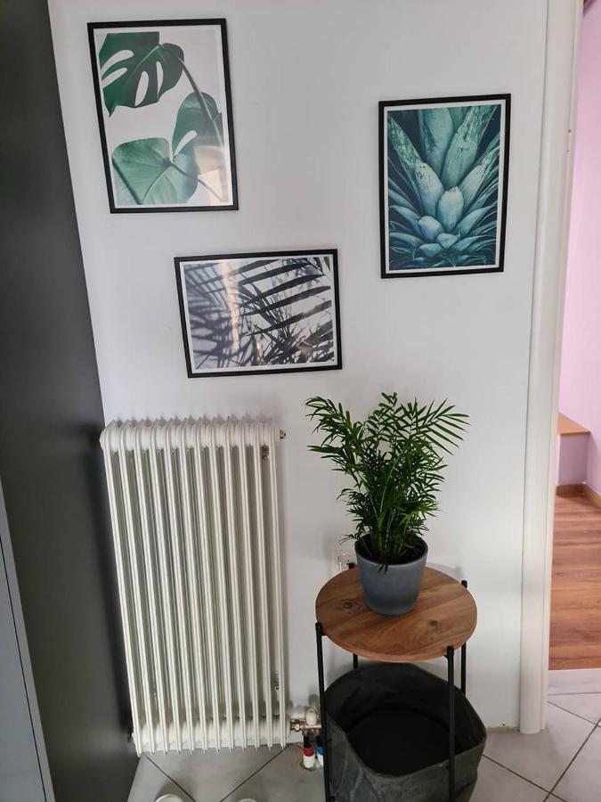 Comfy Urban Apartment Ιωάννινα Εξωτερικό φωτογραφία
